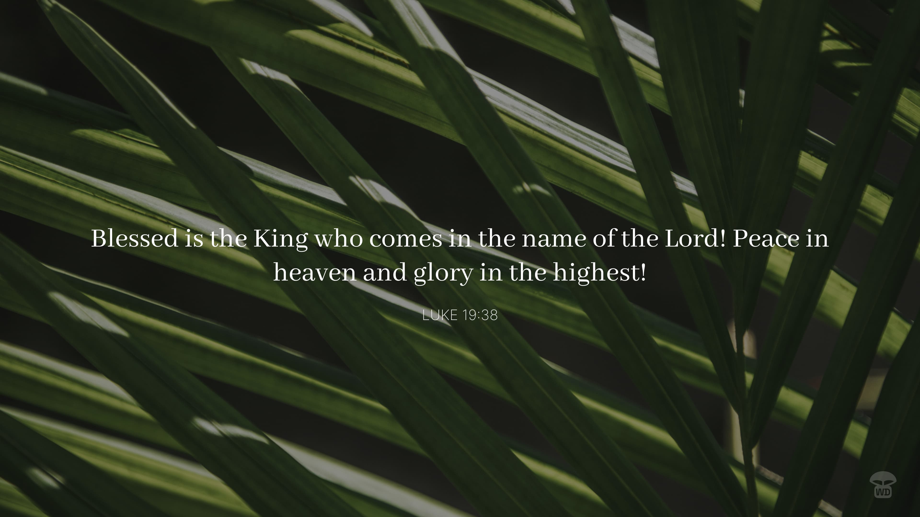 Luke 19:38 - Palm Sunday